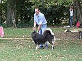 img 108